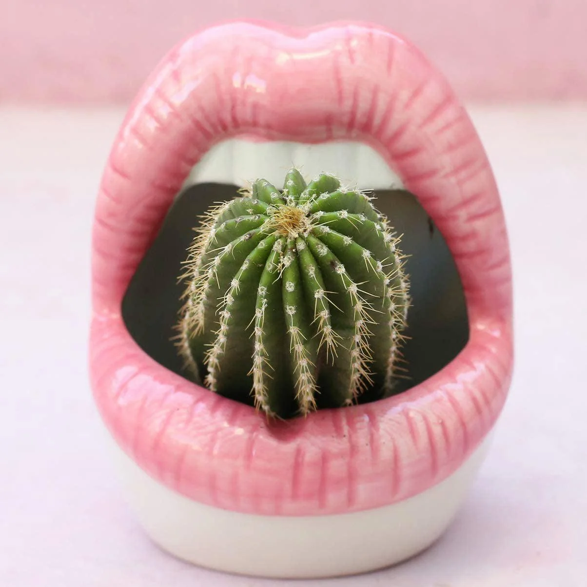 Creative Lips Flower Pot -  - #tag1#