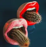 Creative Lips Flower Pot tag1