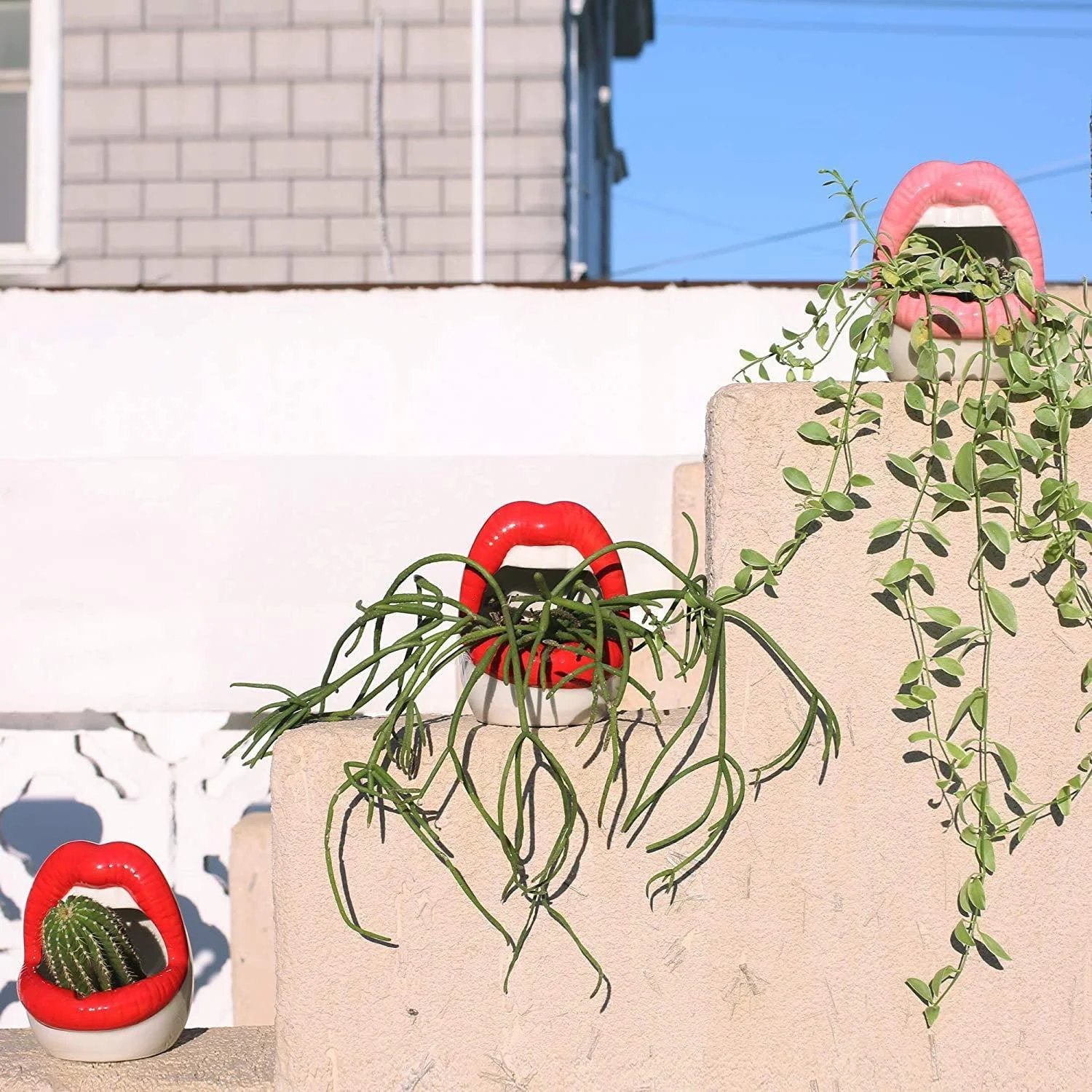 Creative Lips Flower Pot -  - #tag1#