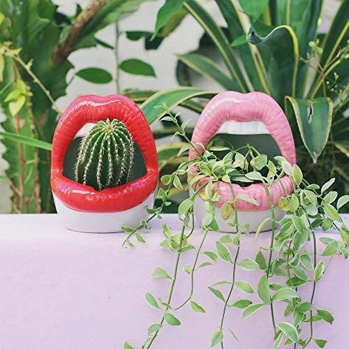 Creative Lips Flower Pot -  - #tag1#