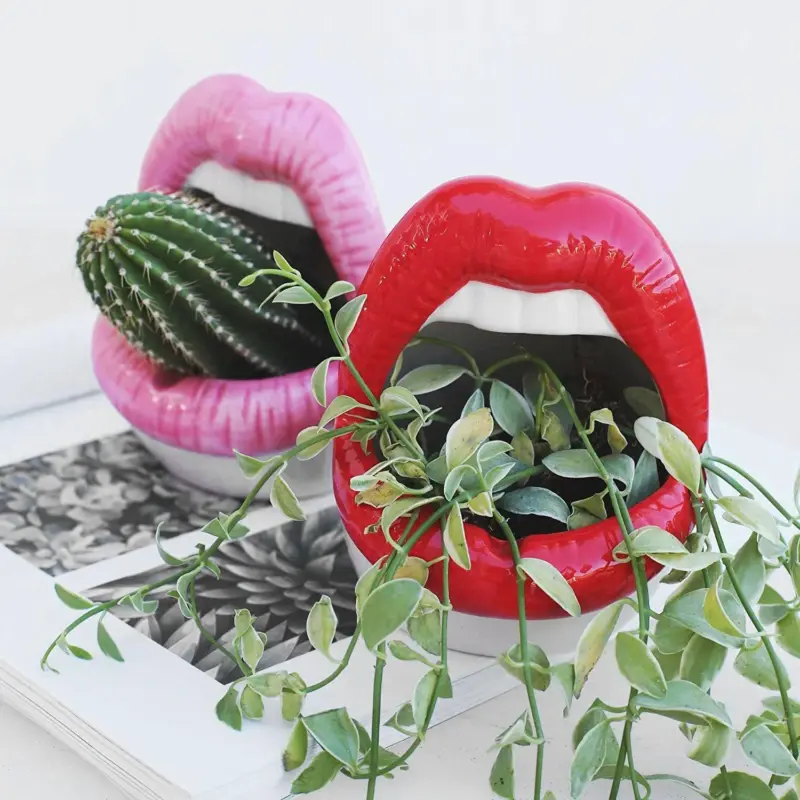 Creative Lips Flower Pot tag1