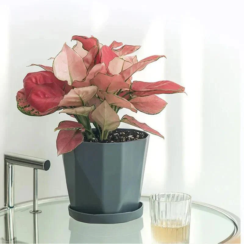Creative Resin Simple Flower Pot & Saucer -  - #tag1#