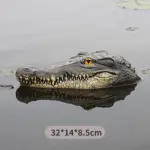 Crocodile head Frog Animal Floating Statue