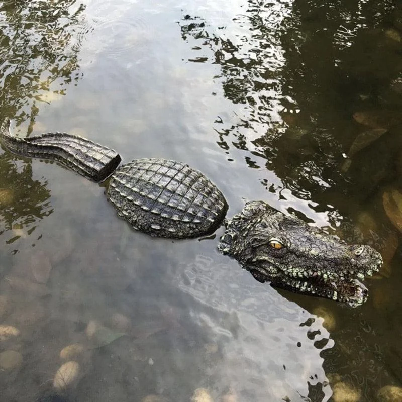 Crocodile head Frog Animal Floating Statue -