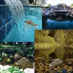 Crocodile head Frog Animal Floating Statue