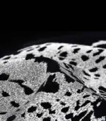 Cushion_Cover_Velvet_Leopard_Embroidery_Black_-_-_tag1_-4189469 Cushion Cover Velvet Leopard Embroidery Black tag1