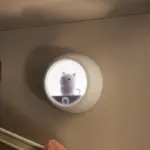 Cute Cat Night Light tag1