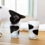 Cute Cat Paw Glass Cup tag1