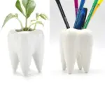 Cute Ceramic Dental Tooth Planter Pot