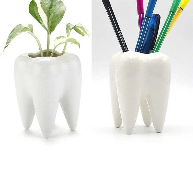 Cute Ceramic Dental Tooth Planter Pot -