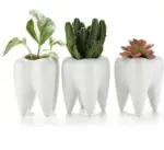 Cute Ceramic Dental Tooth Planter Pot