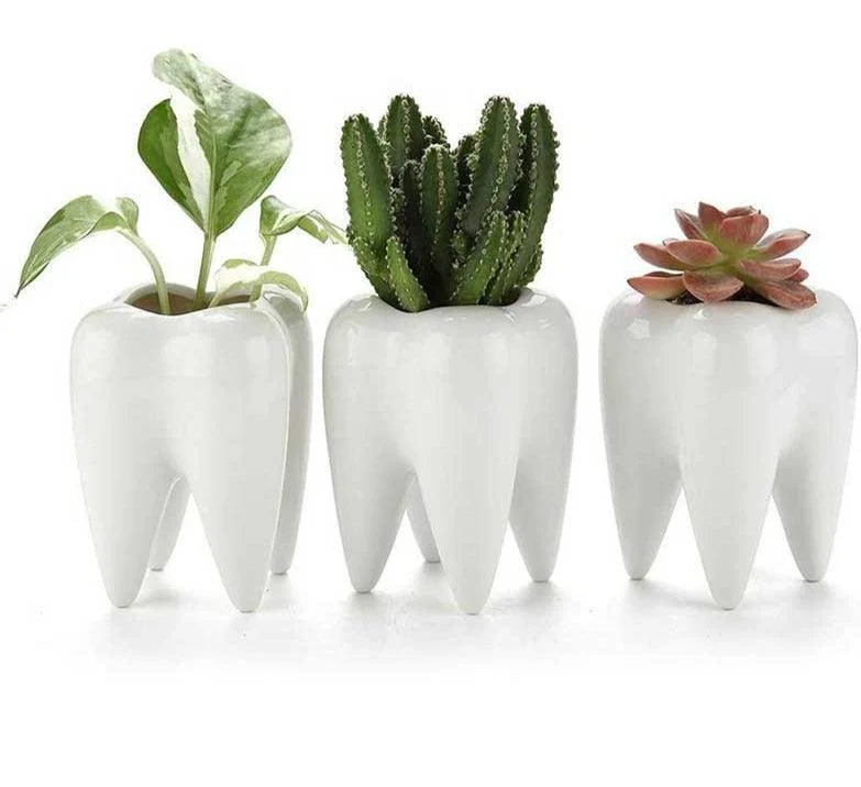 Cute Ceramic Dental Tooth Planter Pot -