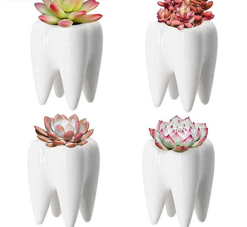 Cute Ceramic Dental Tooth Planter Pot -