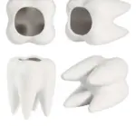 Cute Ceramic Dental Tooth Planter Pot