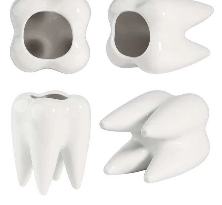 Cute Ceramic Dental Tooth Planter Pot -