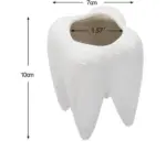 Cute Ceramic Dental Tooth Planter Pot