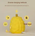 Cute Durian Night Light tag1