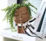Cute_Hands_on_Face_Vase_Succulent_Head_Planter_-_-4174657 Cute Hands on Face Vase Succulent Head Planter