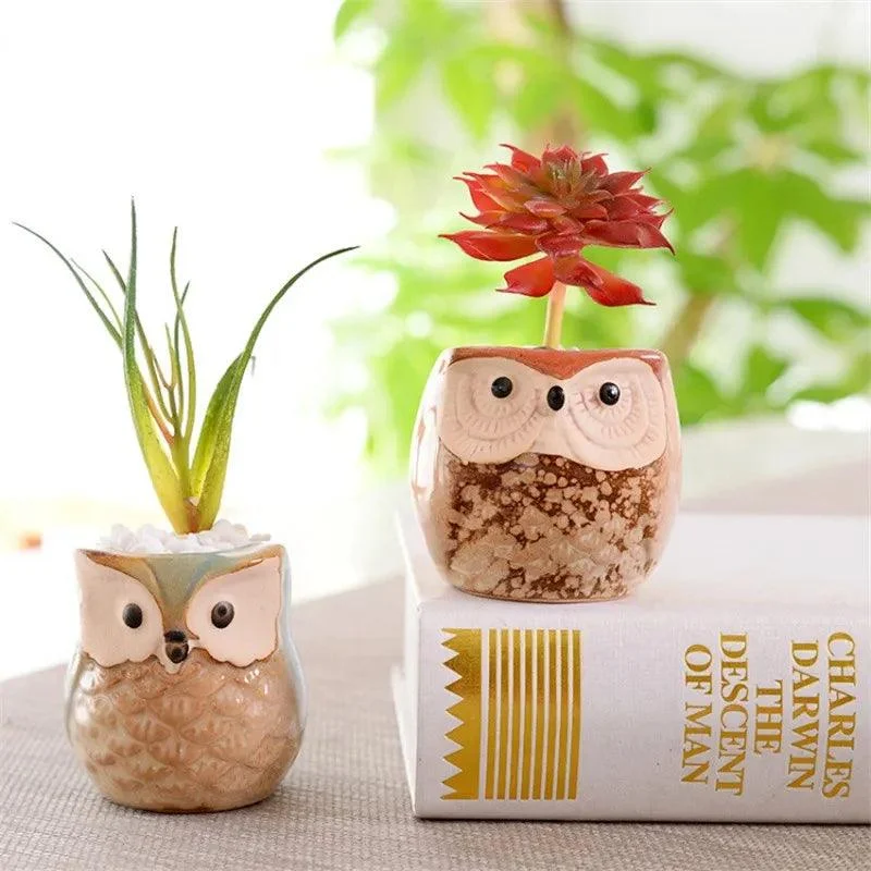 Cute Owl Ceramic Flower Pot: Whimsical Succulent Planter -