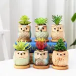 Cute Owl Ceramic Flower Pot Whimsical Succulent Planter