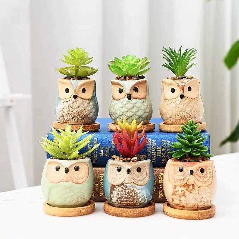 Cute Owl Ceramic Flower Pot: Whimsical Succulent Planter -