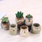 Cute Owl Ceramic Flower Pot Whimsical Succulent Planter