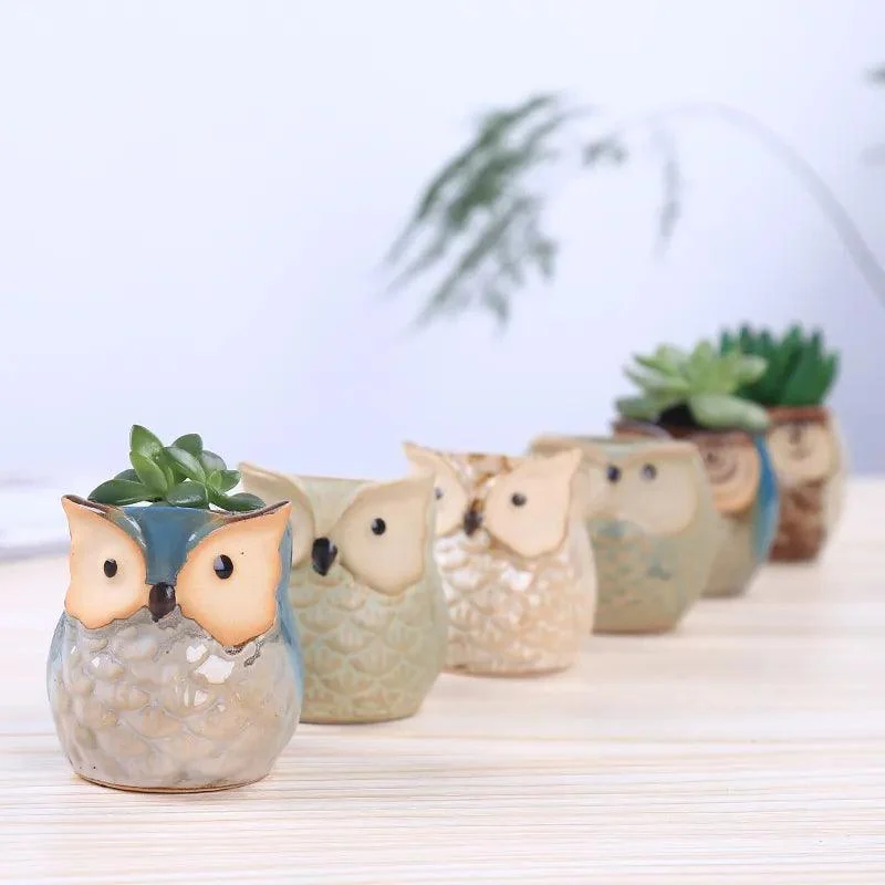 Cute Owl Ceramic Flower Pot: Whimsical Succulent Planter -