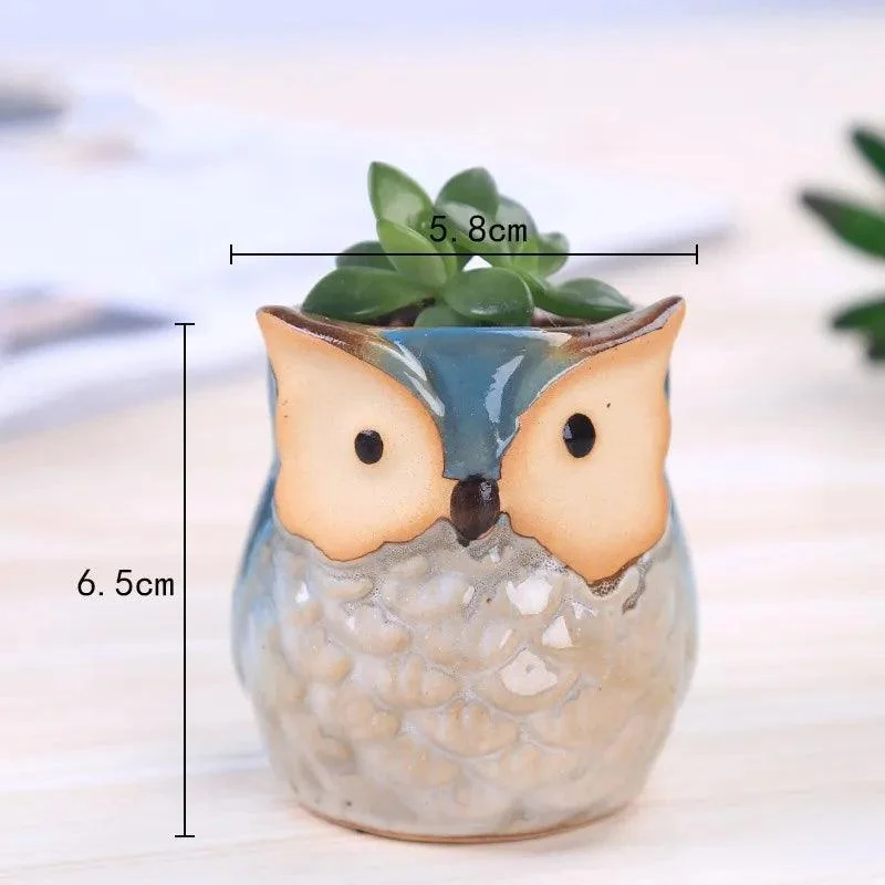 Cute Owl Ceramic Flower Pot: Whimsical Succulent Planter -