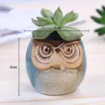 Cute Owl Ceramic Flower Pot Whimsical Succulent Planter