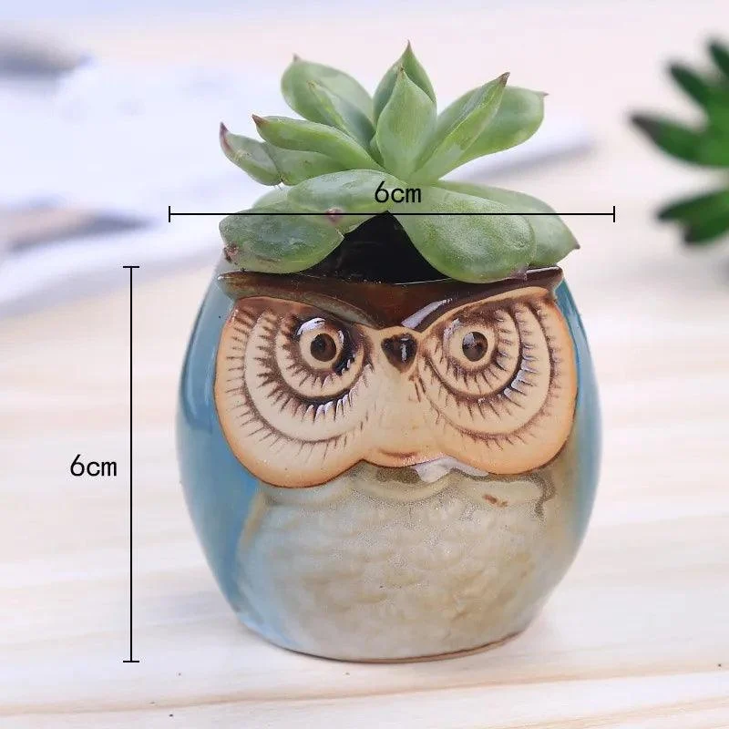 Cute Owl Ceramic Flower Pot: Whimsical Succulent Planter -