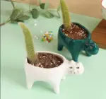 Cute_Succulent_Cactus_Ceramic_Cat_Vase_Planter_Pot_-_-4175803 Cute Succulent Cactus Ceramic Cat Vase Planter Pot