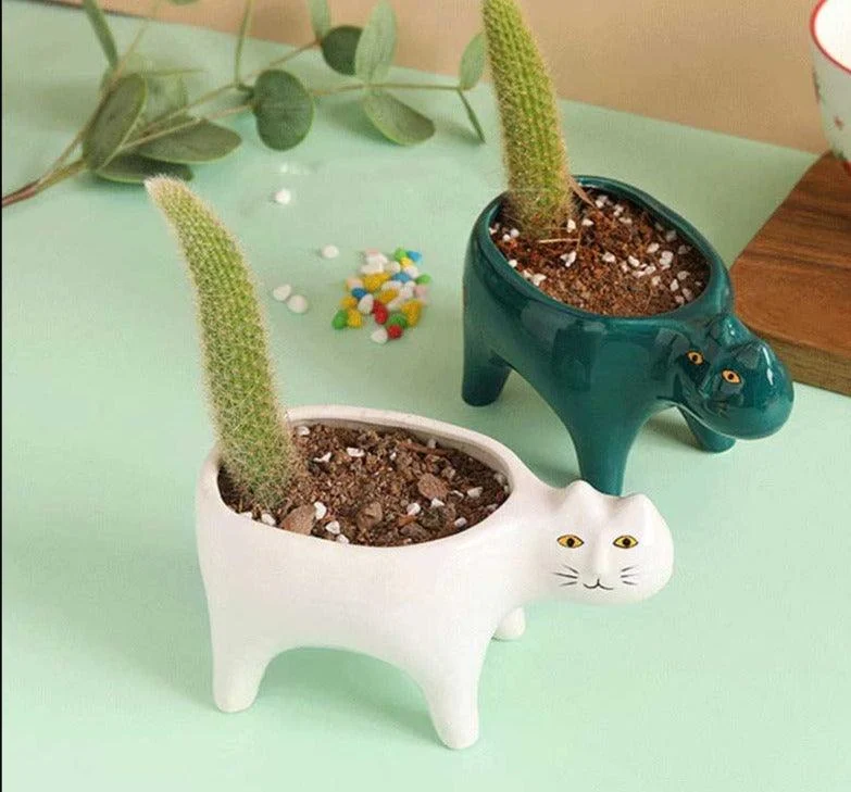 Cute Succulent Cactus Ceramic Cat Vase Planter Pot -