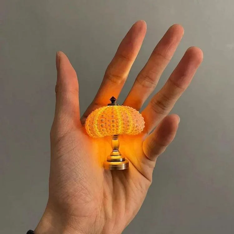 DIY Sea Urchin Night Light – Creative and Unique Lighting -  - #tag1#