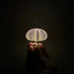 DIY Sea Urchin Night Light Creative and Unique Lighting tag1
