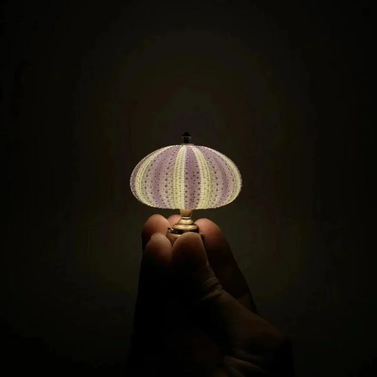 DIY Sea Urchin Night Light – Creative and Unique Lighting -  - #tag1#