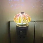 DIY Sea Urchin Night Light Creative and Unique Lighting tag1