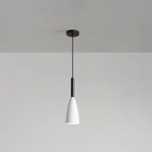 Homeko Simple Stained Pendant Light