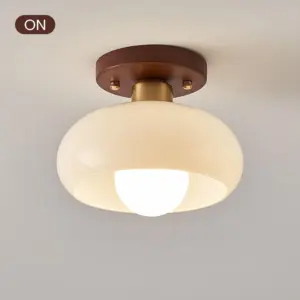 Homeko White Small Hallway Ceiling Lamp