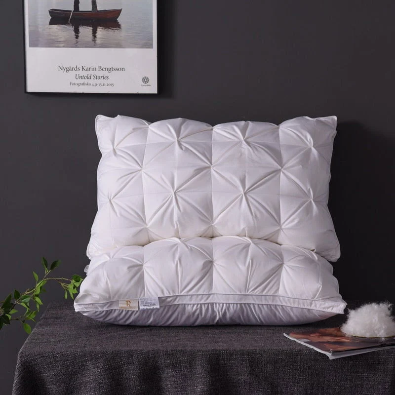 DREAM GOOSE DOWN PILLOW 600TC -  - #tag1#
