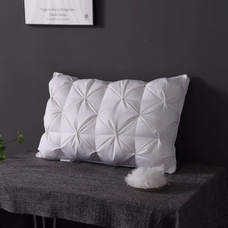 DREAM GOOSE DOWN PILLOW 600TC -  - #tag1#