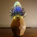 DSC00491