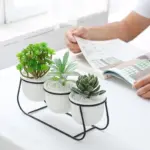 Daja Modern White Ceramic Flower Pots tag1
