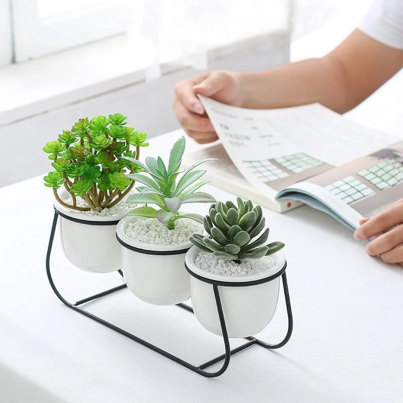 Daja - Modern White Ceramic Flower Pots -  - #tag1#