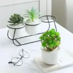 Daja Modern White Ceramic Flower Pots tag1