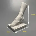 Dancer s Foot Sculpture tag1