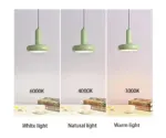 Danish Macaron Pendant Ceiling Lamp