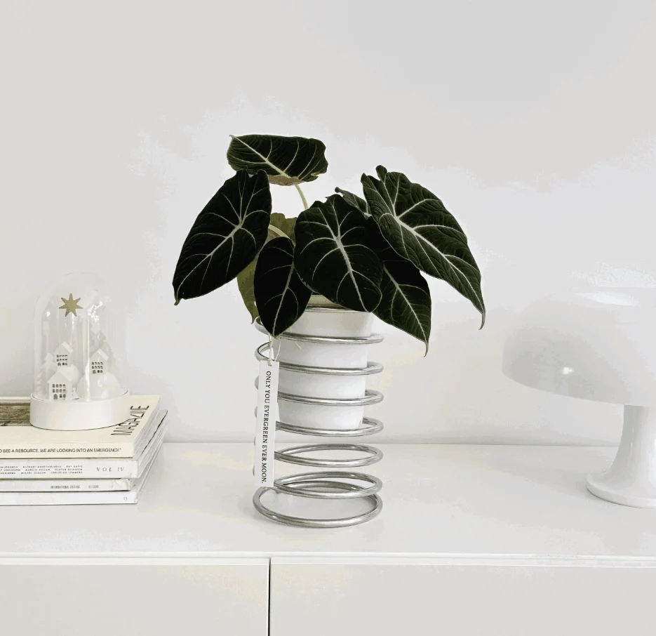 Decorative Spring Flower Pot Stand -  - #tag1#