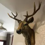 Deer_head_Stylish_wall_decoration_for_a_modern_farmhouse_-_-_tag1_-4198288 Deer head Stylish wall decoration for a modern farmhouse tag1