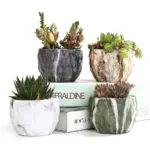 Deidra Modern Bonsai Marbling Flower Pot 4 pcs tag1