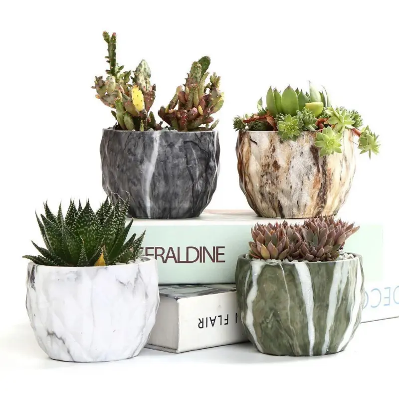 Deidra Modern Bonsai Marbling Flower Pot 4 pcs tag1